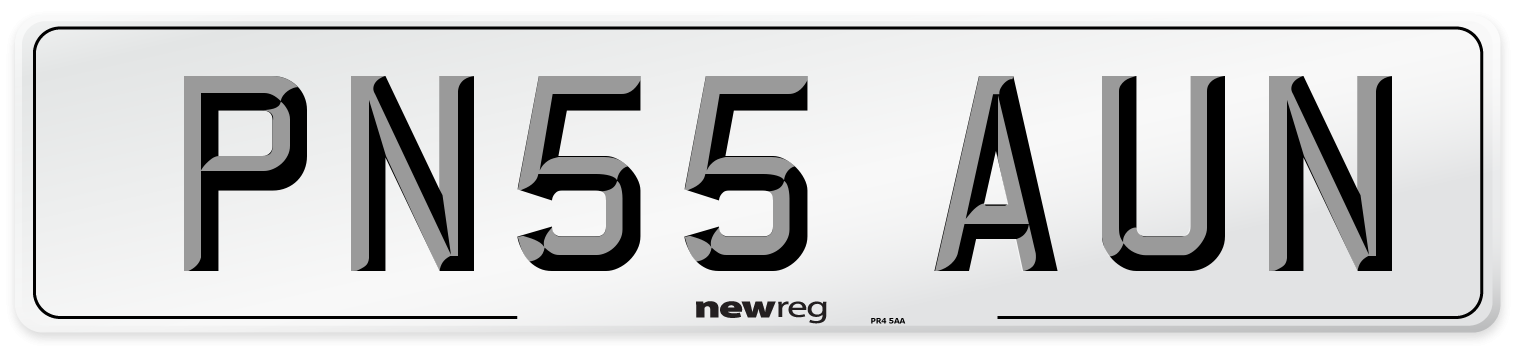 PN55 AUN Number Plate from New Reg